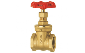 Bronze Valve