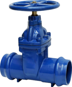 Check Valve