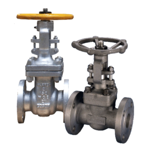 Steel And Carbon Valve